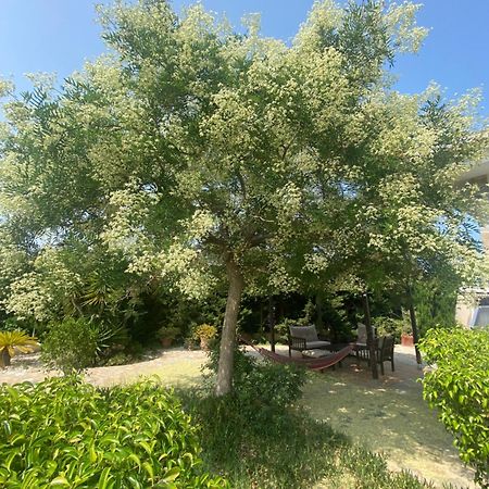 Casa Lusentum Villa Torrevieja Dış mekan fotoğraf