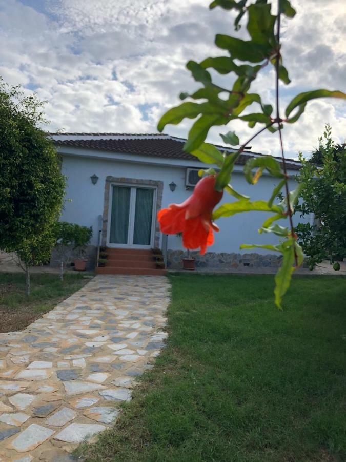 Casa Lusentum Villa Torrevieja Dış mekan fotoğraf